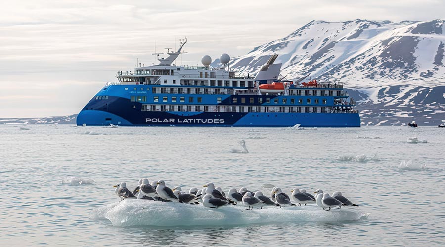 albatros-branded-2-900x500-1 Ocean Albatros ship in Antarctica